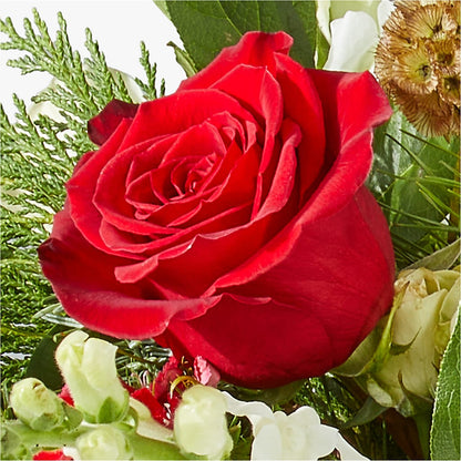 Deck the Halls Bouquet – GORDILLO'S FLOWERS AND GIFTS LLC, Mishawaka IN