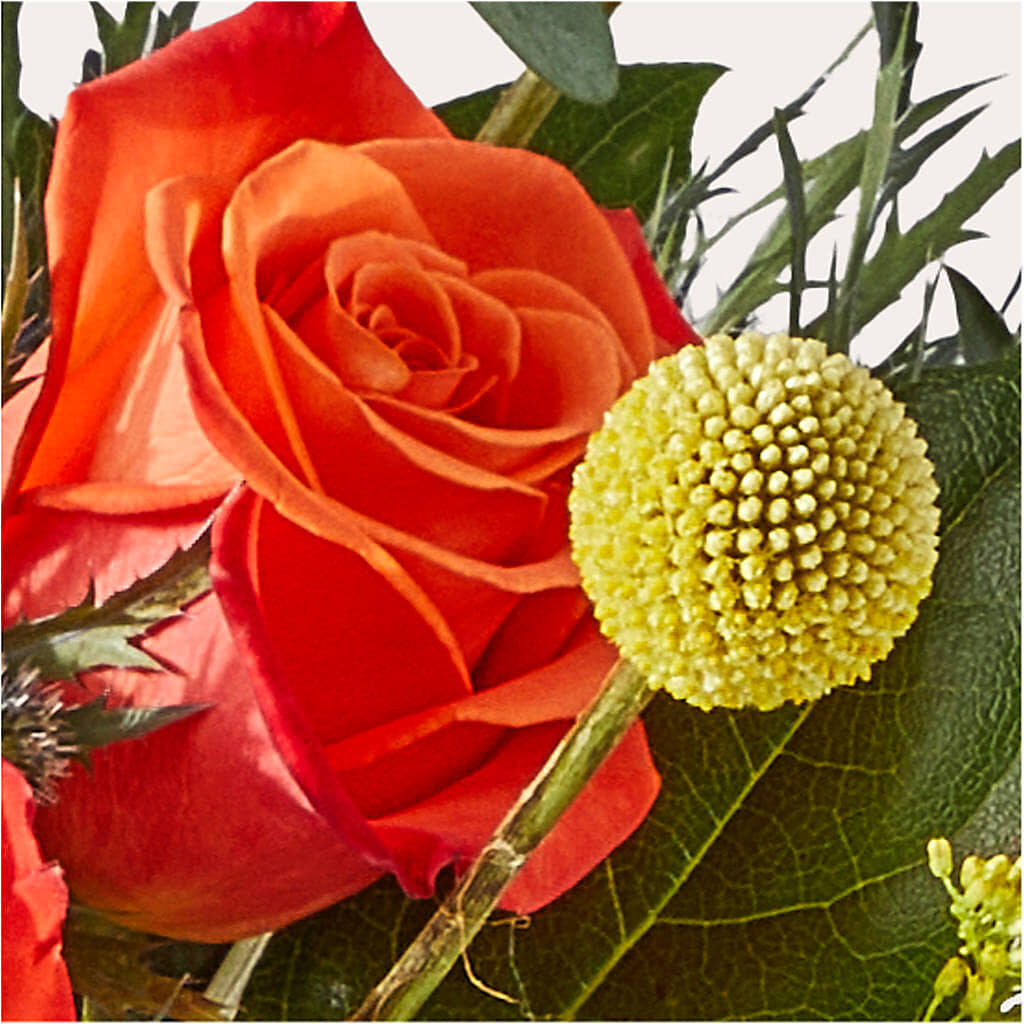 Disco Bouquet – GORDILLO'S FLOWERS AND GIFTS LLC, Mishawaka IN