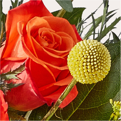 Disco Bouquet – GORDILLO'S FLOWERS AND GIFTS LLC, Mishawaka IN