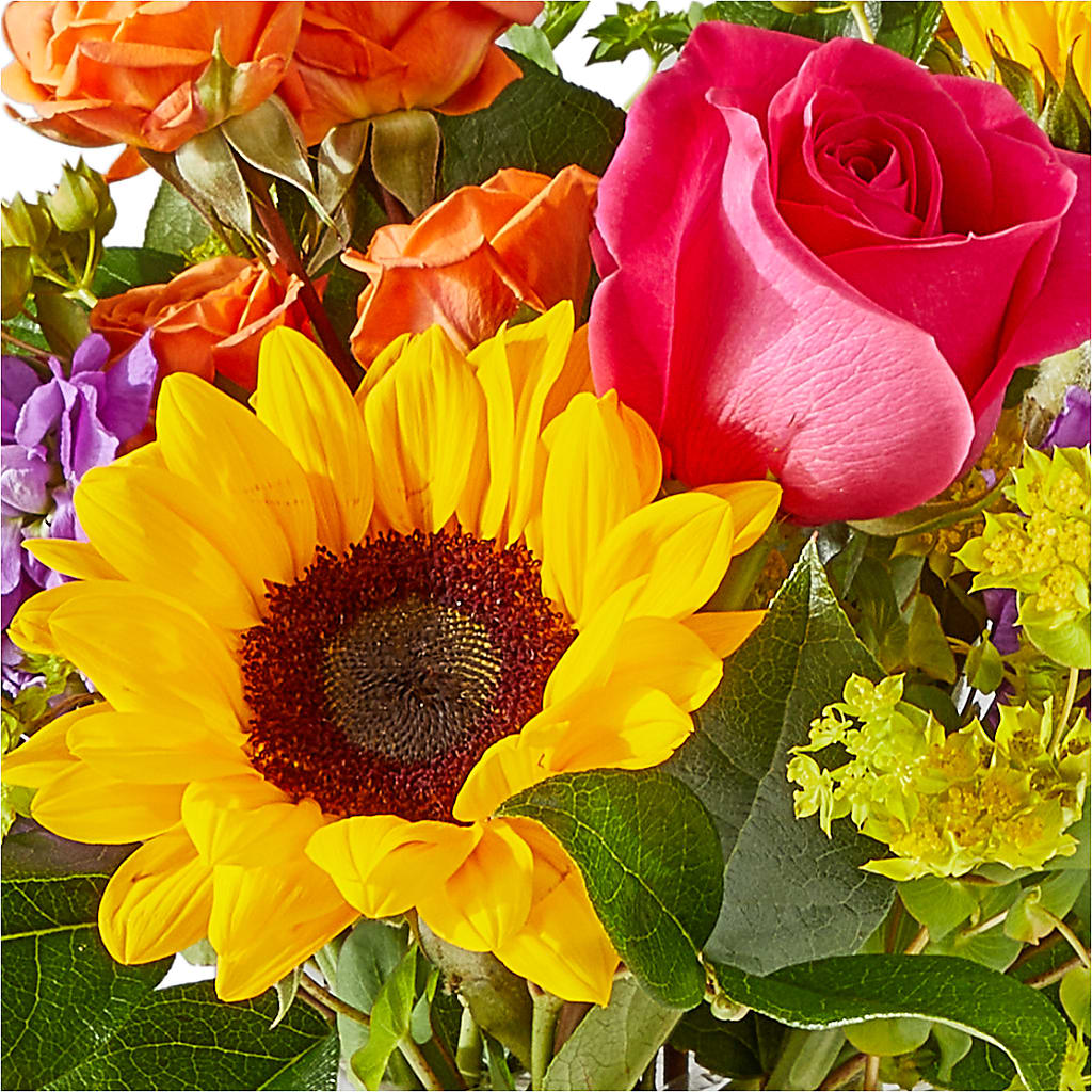 Vibrant Greetings Bouquet – GORDILLO'S FLOWERS AND GIFTS LLC, Mishawaka IN