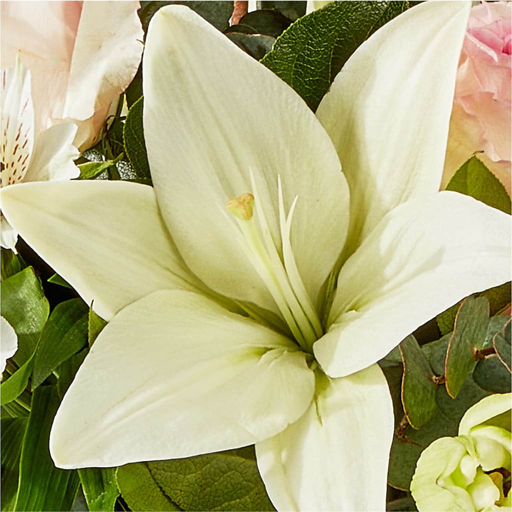 Ballet Slippers Bouquet – GORDILLO'S FLOWERS AND GIFTS LLC, Mishawaka IN