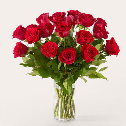 The One Red Rose Bouquet – GORDILLO'S FLOWERS AND GIFTS LLC, Mishawaka IN