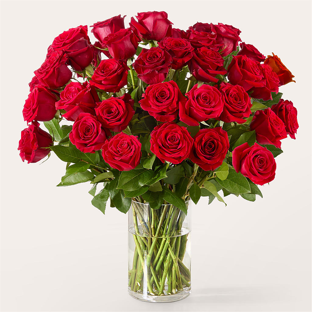 The One Red Rose Bouquet – GORDILLO'S FLOWERS AND GIFTS LLC, Mishawaka IN