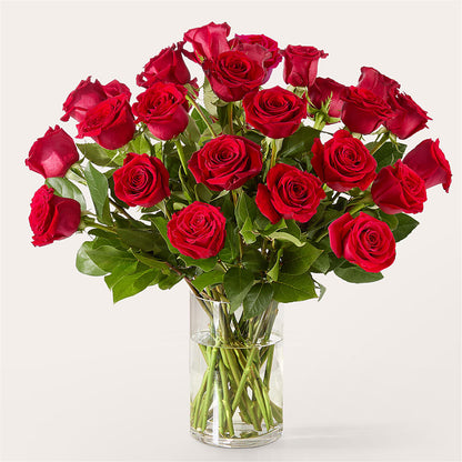 The One Red Rose Bouquet – GORDILLO'S FLOWERS AND GIFTS LLC, Mishawaka IN