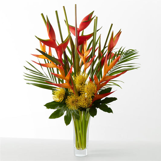 The Drama – GORDILLO'S FLOWERS AND GIFTS LLC, Mishawaka IN