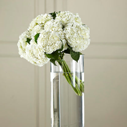 White Hydrangea Hand-Tied Bouquet – GORDILLO'S FLOWERS AND GIFTS LLC, Mishawaka IN