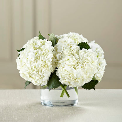 White Hydrangea Bouquet – GORDILLO'S FLOWERS AND GIFTS LLC, Mishawaka IN